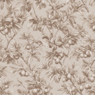 Bild på Esaias Brown - 1105101-02